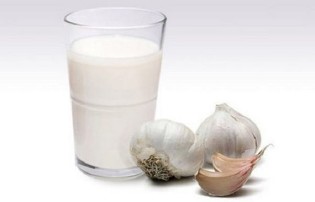the milk to the garlic